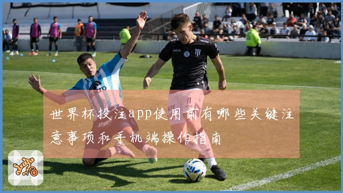 世界杯投注app使用前有哪些关键注意事项和手机端操作指南